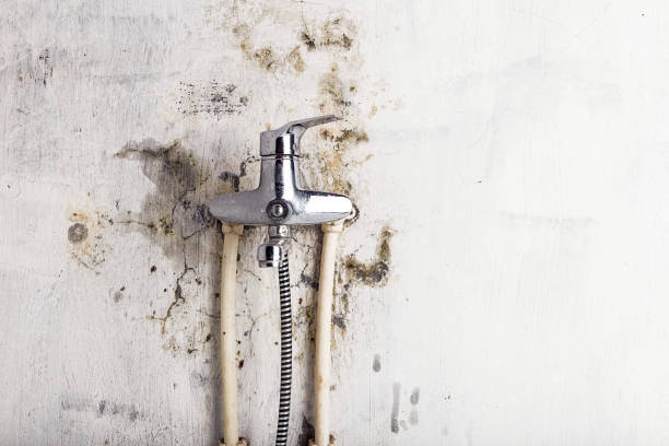 Herald Harbor, MD Mold Removal Company