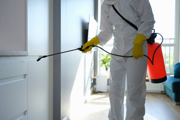 Best Mold Removal Company Near Me  in Herald Harbor, MD