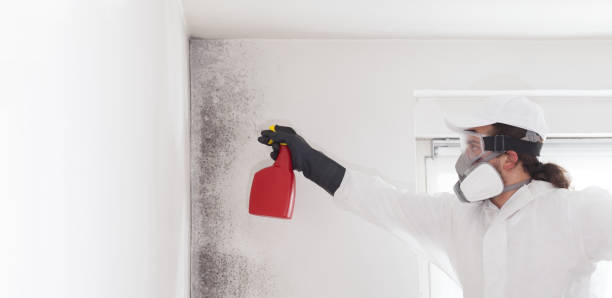 Best Commercial Mold Removal  in Herald Harbor, MD